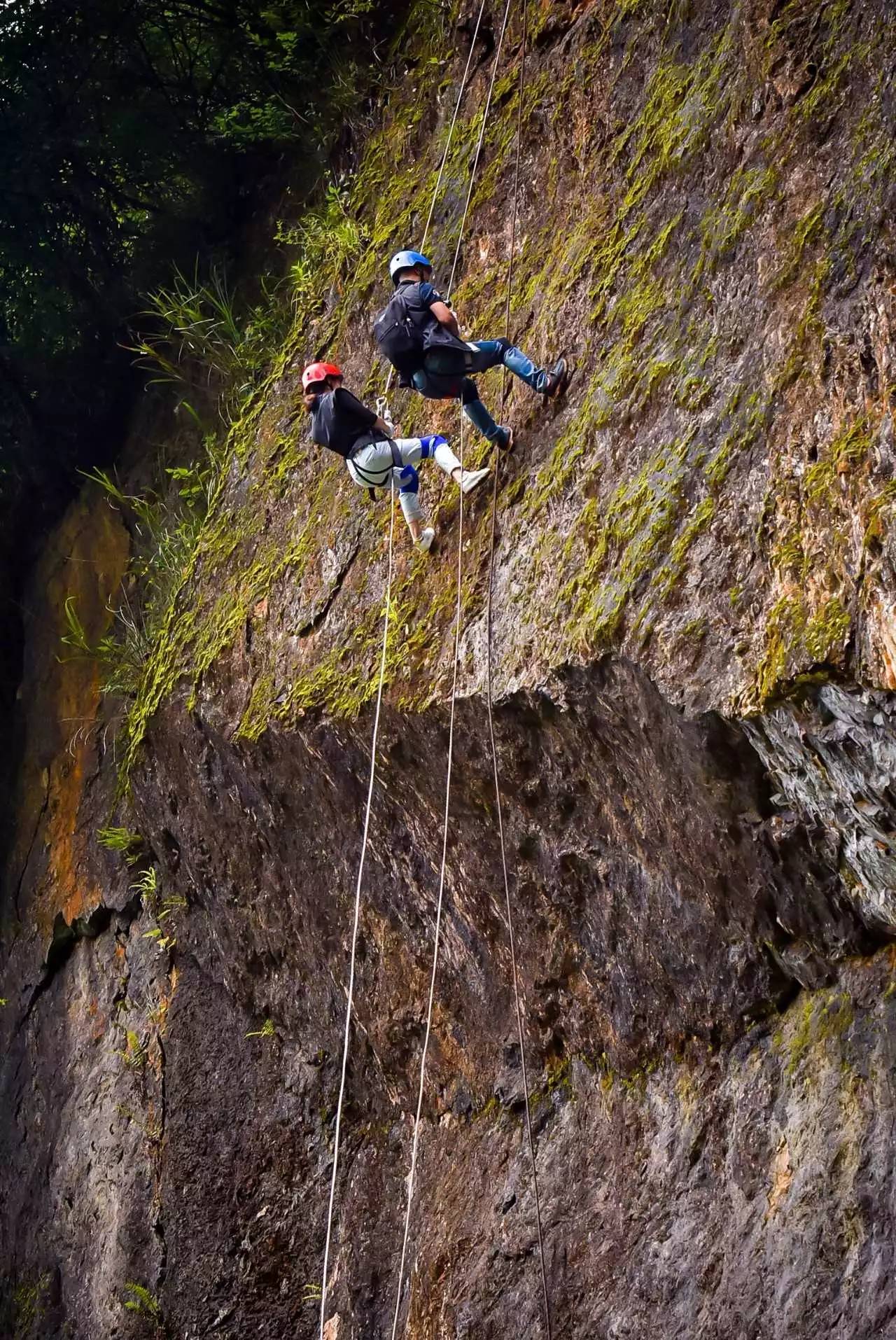 摩纳哥将在洛里昂展开征服之旅 摩纳哥将在洛里昂展开征服之旅
